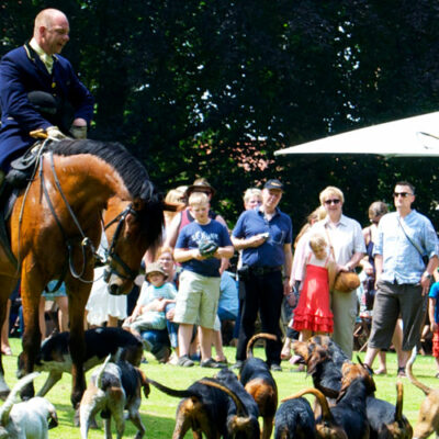 11Pferde und Hunde für die traditionelle Fuchsjagd British Weekend