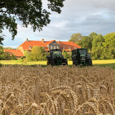 11Zwei Traktoren im Kornfeld, Rittergut Remeringhausen im Hintergrund