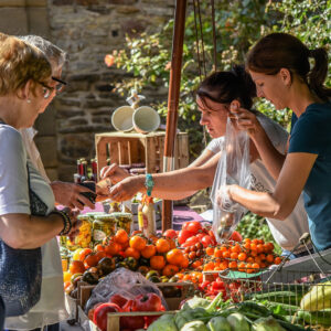 Aussteller am Gemüsestand bei Romantic Garden verkaufen Tomaten an Besucher