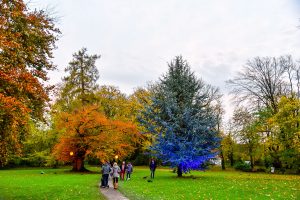 Besucher des November Licht im Lustgarten, bei Tag, farbig angestrahlte Bäume
