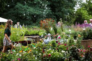 Im Lustgarten, Pflanzentage, Helene schiebt eine Karre voll gekaufter Pflanzen