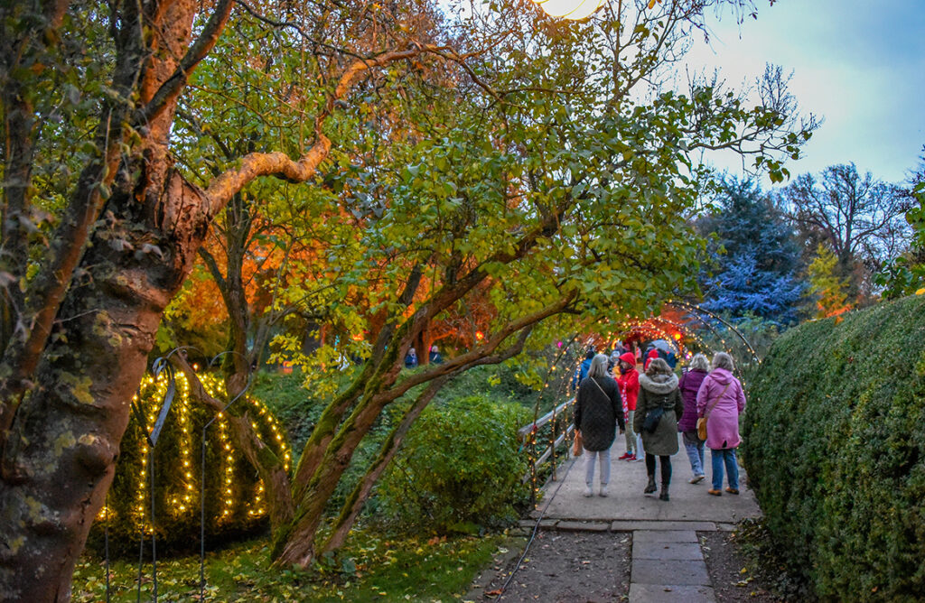 Die Veranstaltung Novemberlicht lockt mit bunter Illumination die Besucher in den Park von Rittergut Remeringhausen. Besucher gehen über die Brücke der Graft in den Park.