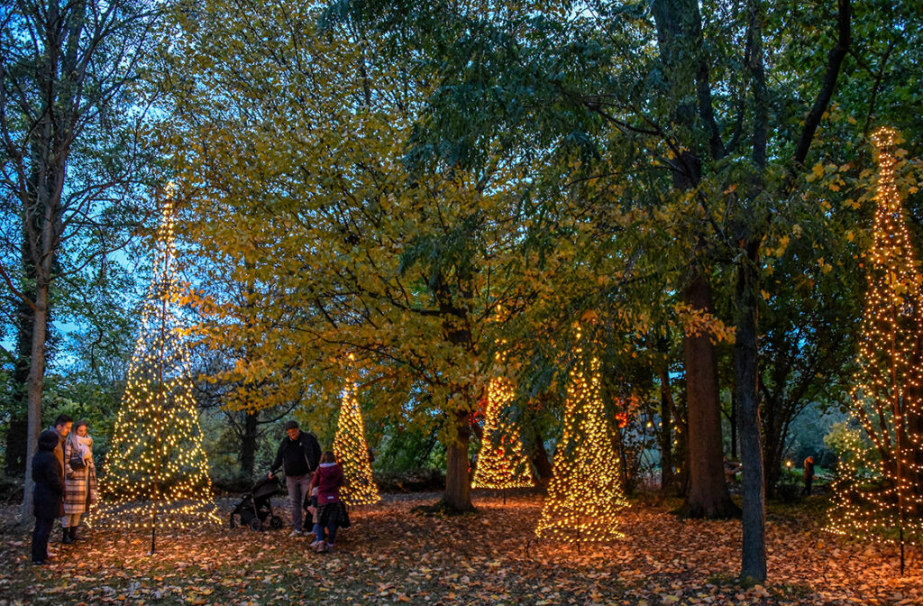 Der Park von RIttergut Remeringhausen ist anlässlich des Events Novemberlicht bunt und weihnachtlich illuminiert mit leuchtenden Tannenbäumen.