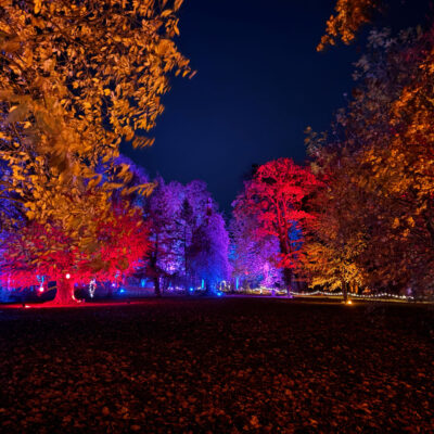 Bunt angestrahle Bäume im herbstlichen Park von Rittergut Remeringhausen zum Event Märchen Lichter.
